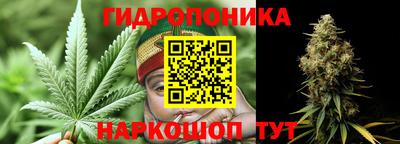 дурь Тулун