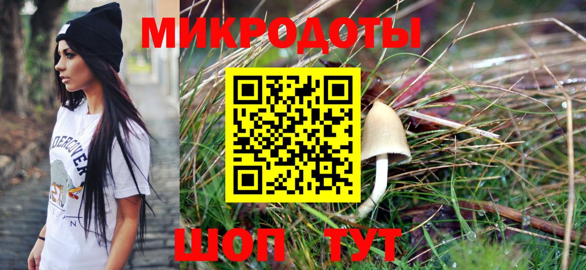 Новосибирск  Галлюциногенные грибы прущие грибы  Вход с VPN  наркотики  Галлюциногенные грибы мицелий 