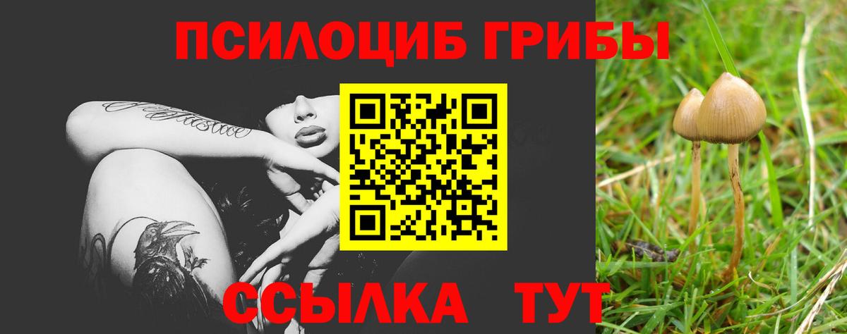 Псилоцибиновые грибы Magic Shrooms Новосибирск